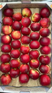 Apfel